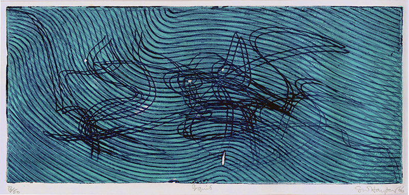 Squid by Stanley William Hayter