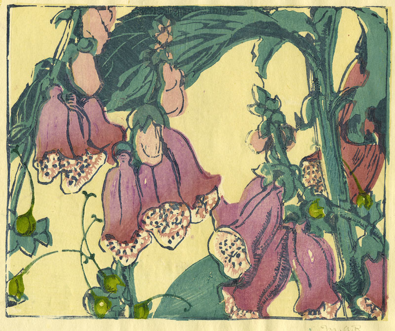 Foxgloves by Mabel Allington Royds