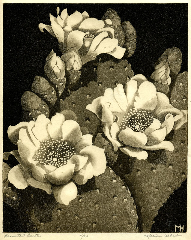 Beavertail Cactus by Frances Marian Hebert