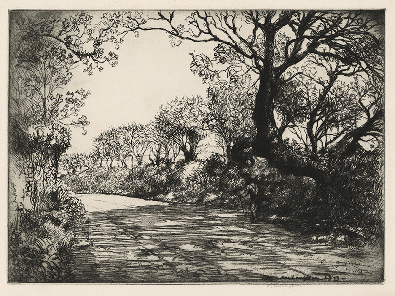 Cornish Road by Donald Shaw MacLaughlan