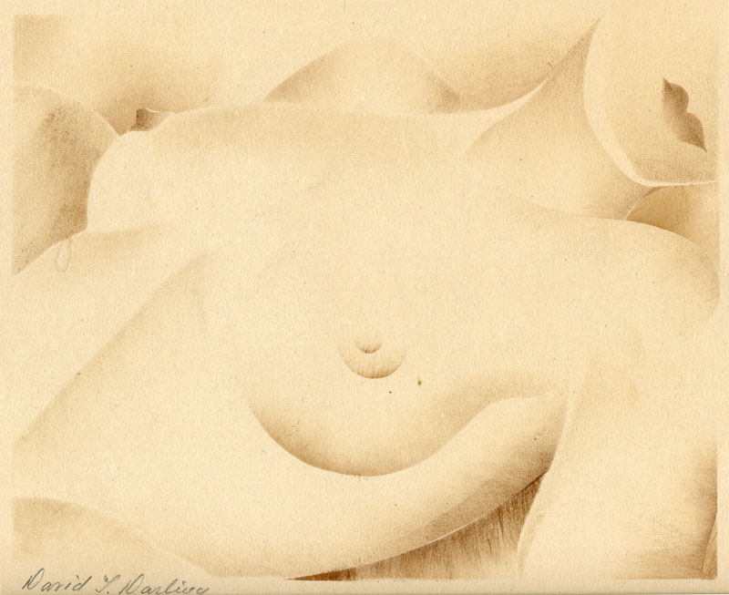 Untitled (nude) by David T. Darling