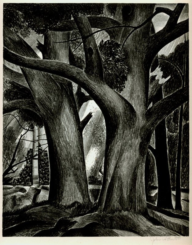 Untitled (trees) by John C. Atherton