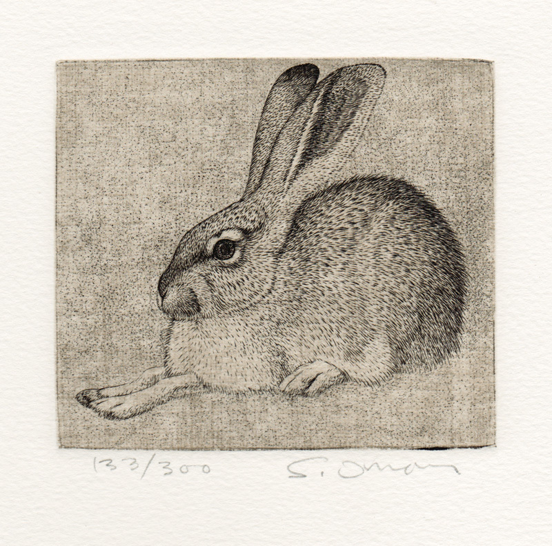 Untitled (rabbit) by Sheridan Oman