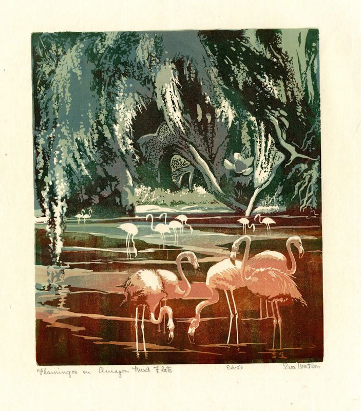 Flamingos on Amazon Mud Flats by Eva Auld Watson