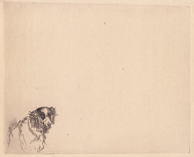 Head of a Dog (after Rembrandt) by Amand Durand