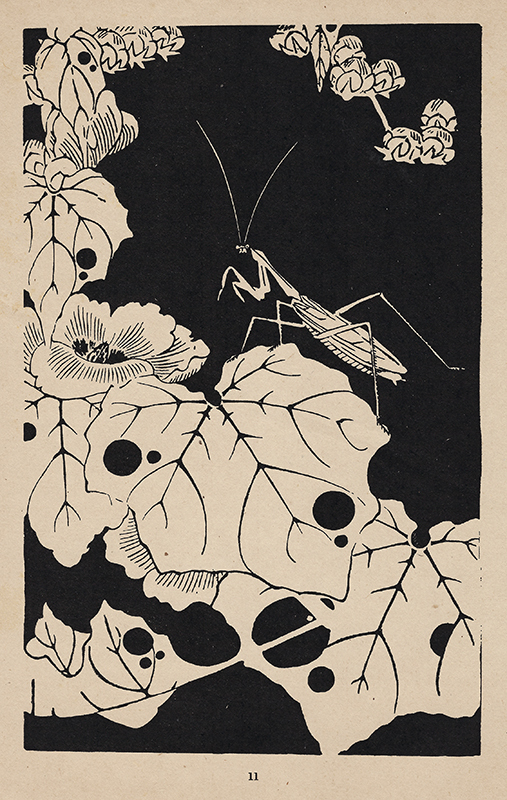 Ito Jakuchu: Jasper Flowers in the Mysterious Garden - Selected and Explained by Martin Feddersen by Ito Jakuchu