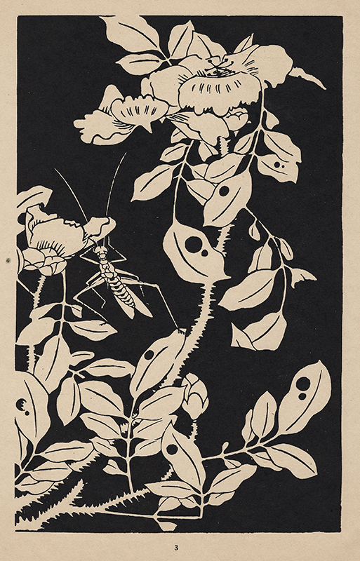 Ito Jakuchu: Jasper Flowers in the Mysterious Garden - Selected and ...