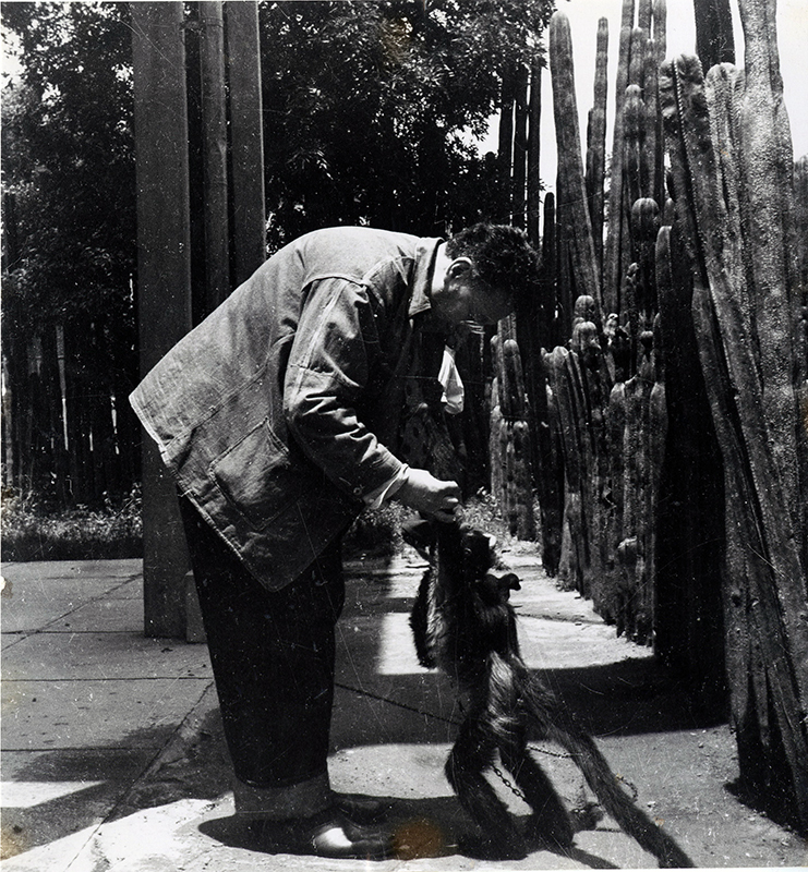 Diego Rivera with Pet Spider Monkey at his San Angel studio by Emmy Lou Packard