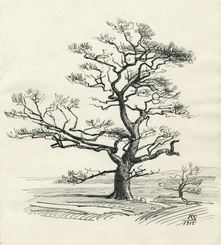 (Trees in a Scandinavian landscape) by Unidentified