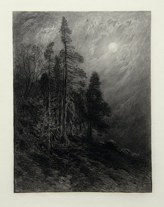 Cedars By Moonlight by James David Smillie