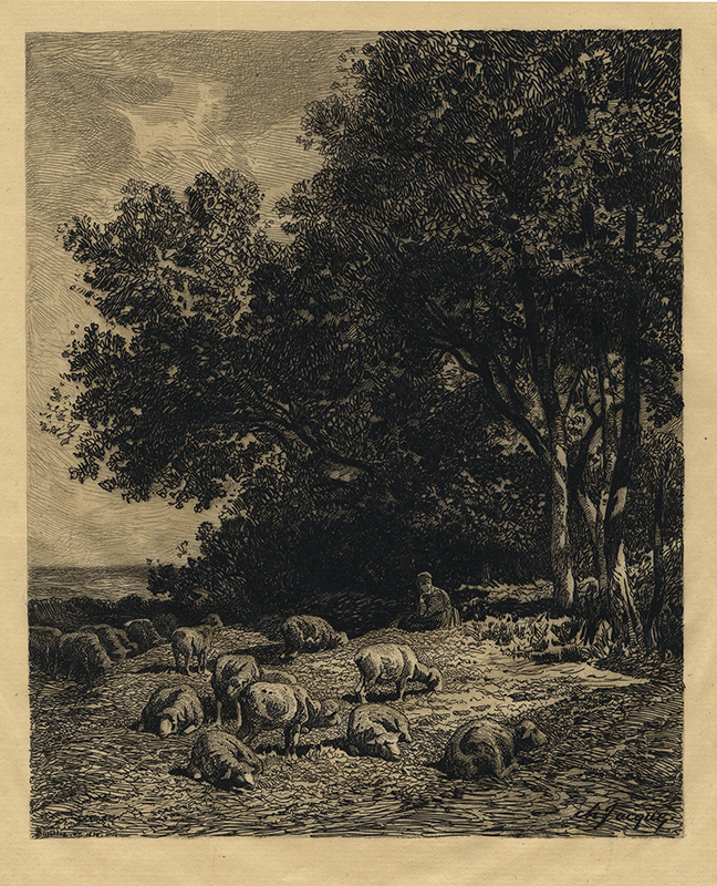 Landscape with Sheep after Charles Jacque by James David Smillie