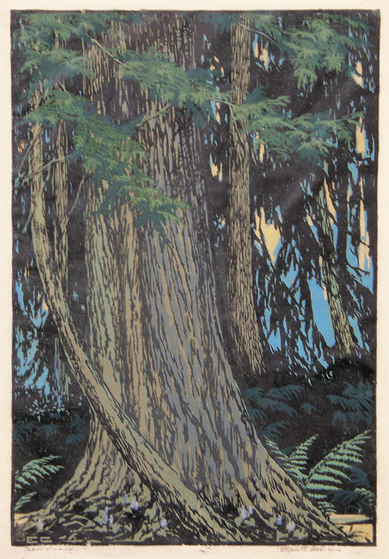 Cedar Swamp by Elizabeth Aline Colborne