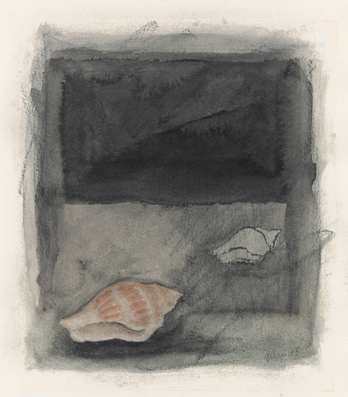 Untitled - from the Shell series by Elizabeth Quandt