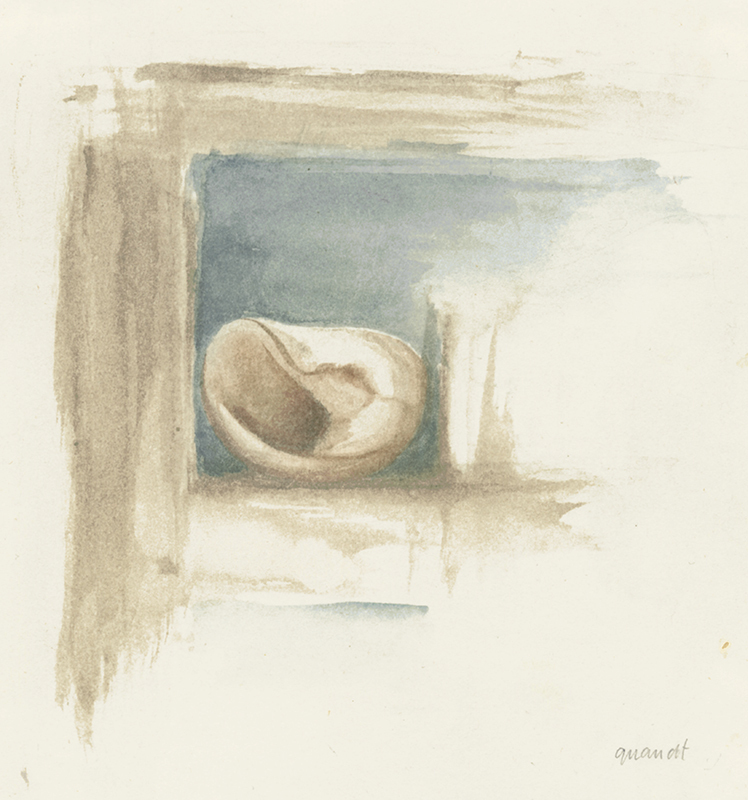 Untitled - from the Shell series by Elizabeth Quandt