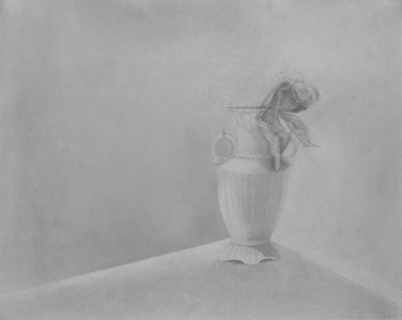 Untitled (rose in a vase, soft light) by Elizabeth Quandt