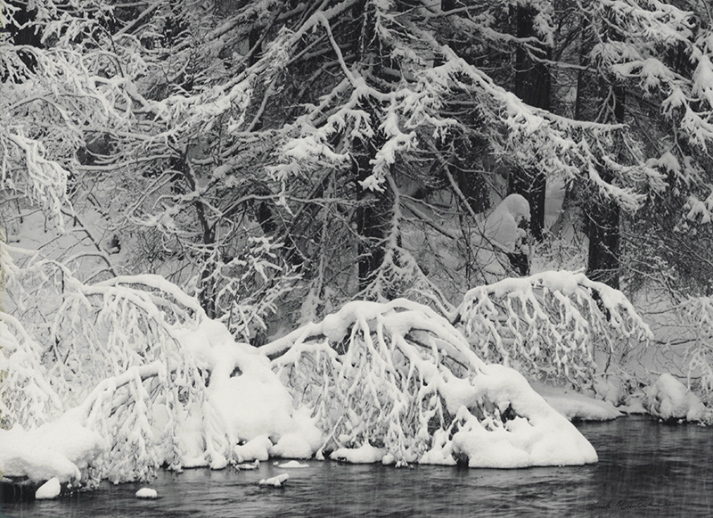 Snow-Laden Forest (Big Wood River, Idaho) by Eric Charles Chuck Winterhalder