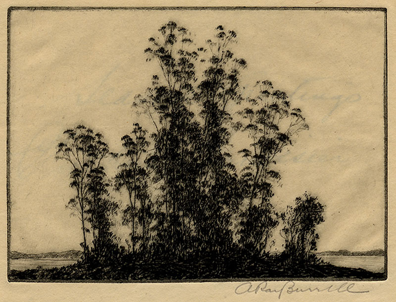 (Eucalyptus Trees) by Alfred Ray Burrell