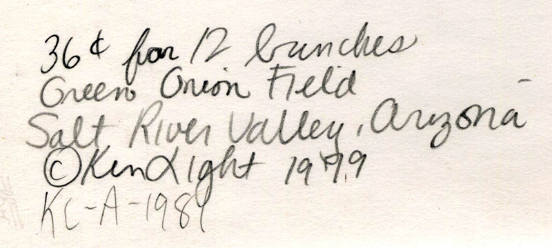 36 Cents for 12 Bunches - Green Onion Field, Salt River Valley, Arizona by Ken Light