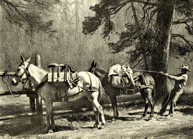 (Pack Mules at Fence) by Howard Everett Smith