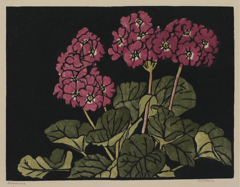 Primroses by William Seltzer Rice