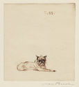 Dog and Cat series: Tossi by Max Pollak